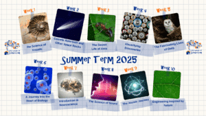 Summer Term Science Classes 2025