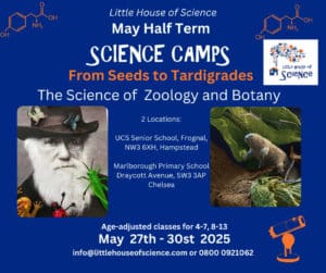 may half term science camps london