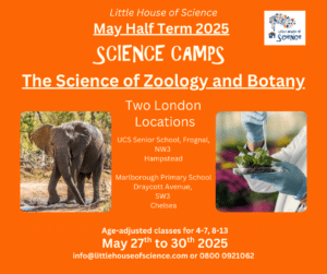 science camps london may half term