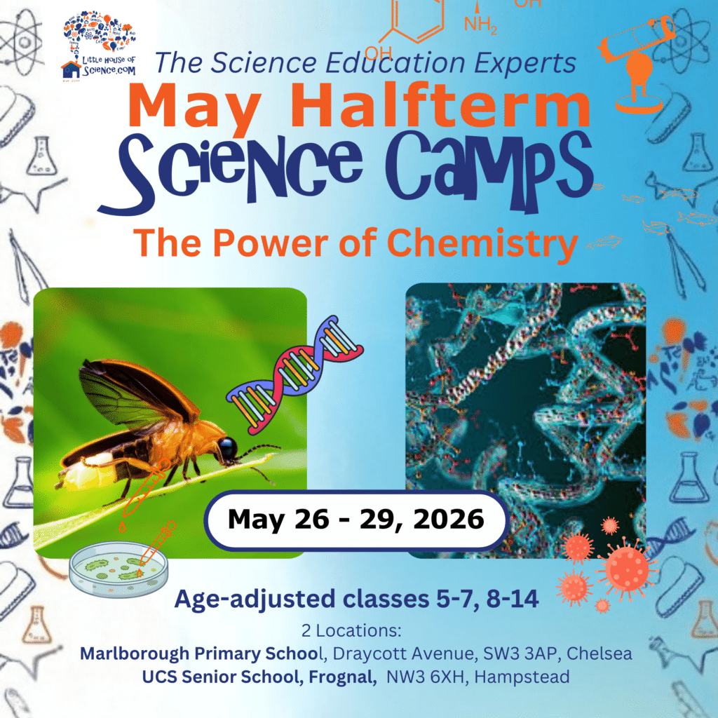 May half term science camps london