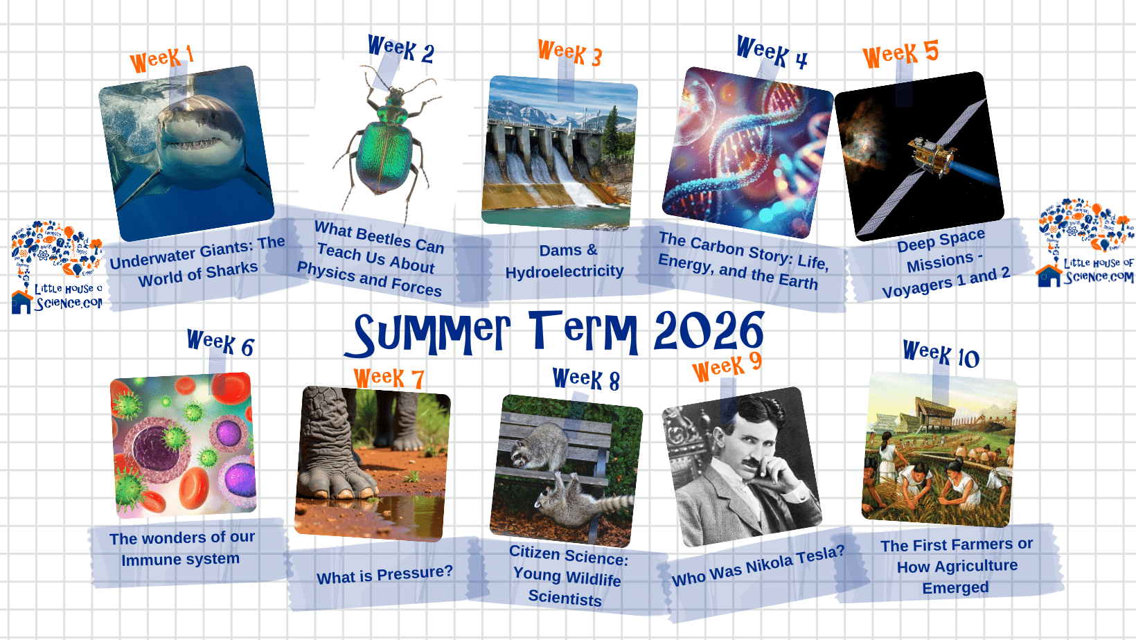 Summer term science classes online and school clubs