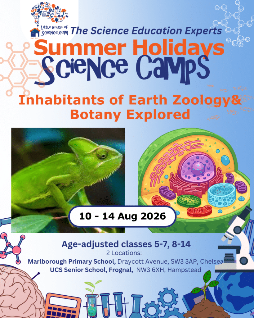 Summer Camps 2026 [instagram postgrid)