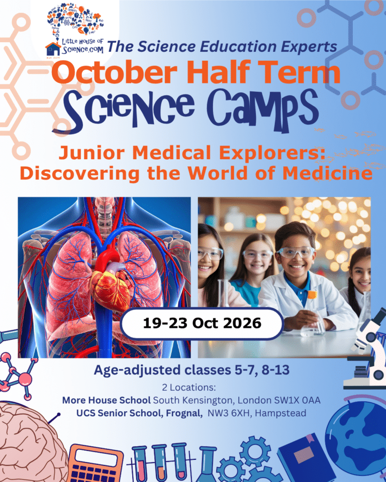 October Half Term Science Camps Week 1
