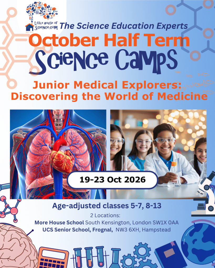 October Half Term Science Camps Week 1