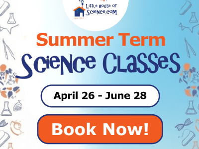 Copy of Copy of Copy of Banner Ad_Little_House_of_Science (2)