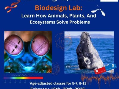 feb half term science camp london